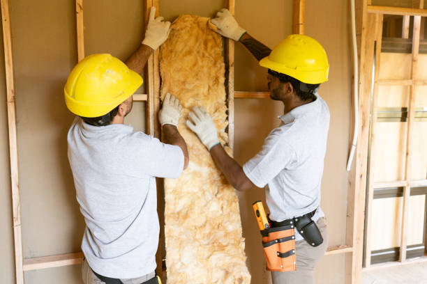 Best Insulation Removal  in USA